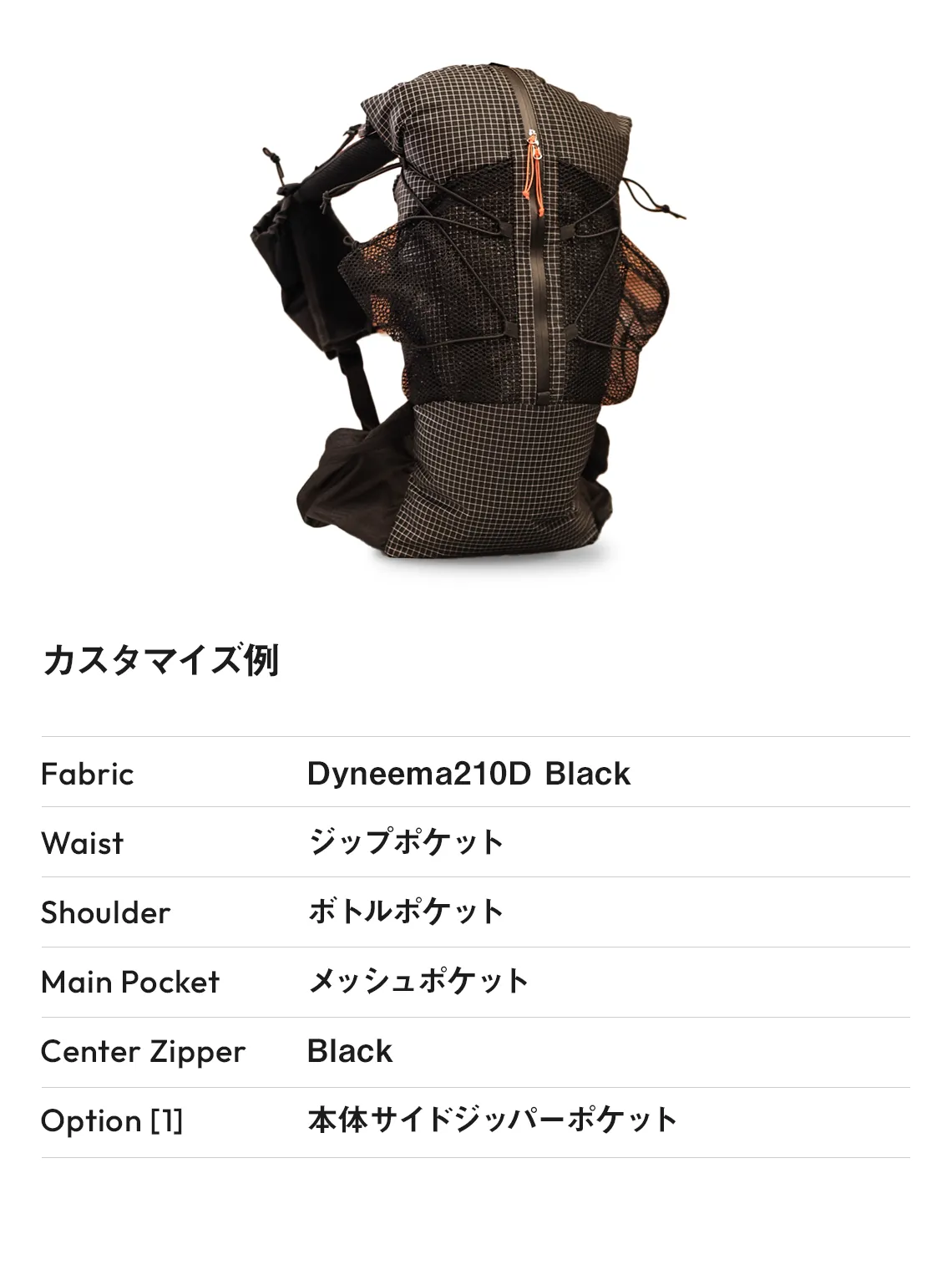 C18カスタマイズ例01