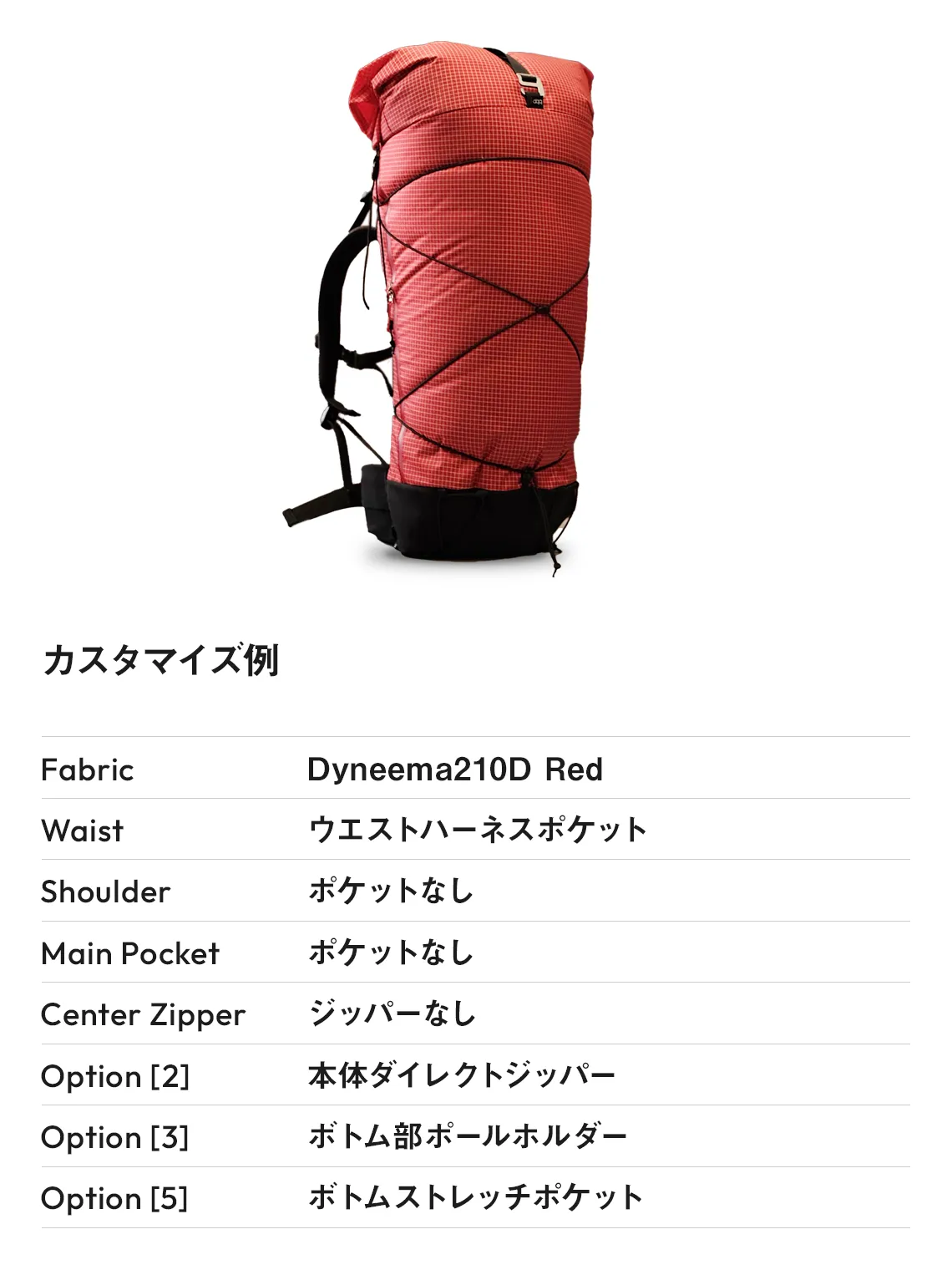 L45カスタマイズ例03